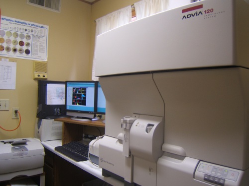 advia 120 used at the Windsor Animal Clinic