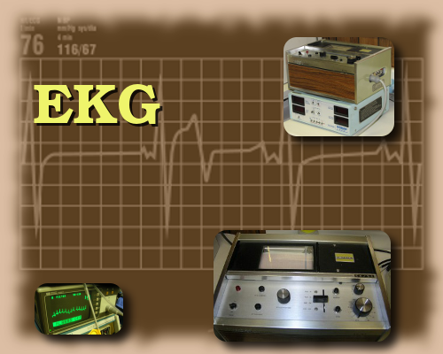 veterinary ekgs at the Windsor Animal Clinic