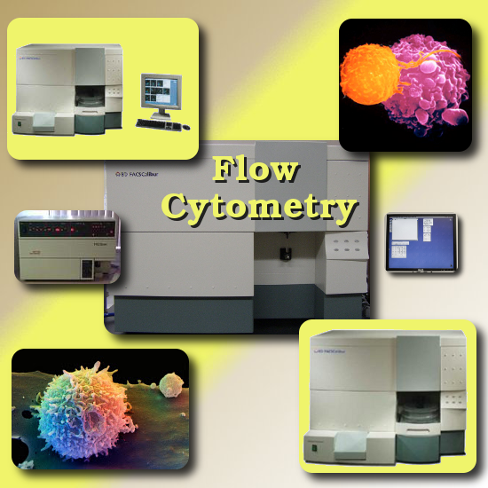 flow cytometry done at the Windsor Animal Clinic